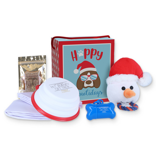 Snowman Holiday PuppyMini  Gift Pack